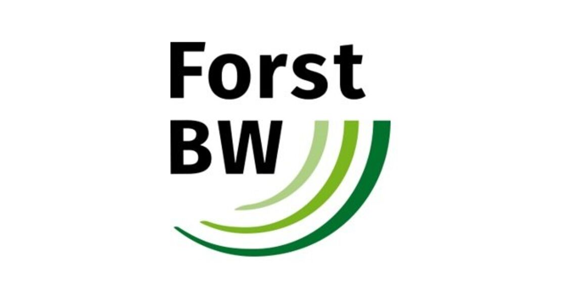 schadet-die-holznutzung-dem-wald