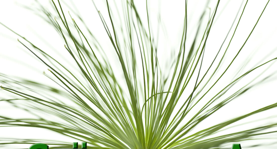 ws-faszination-grunzeug-a-mit-20-cewe-gutschein