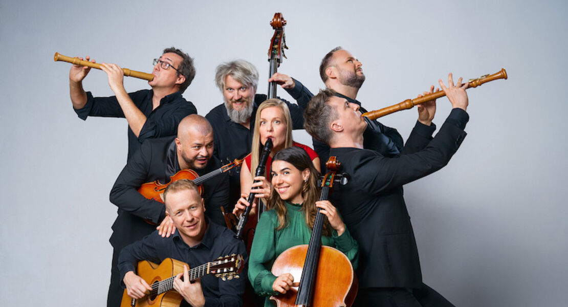 spark-wildes-holz-machtig-zunder