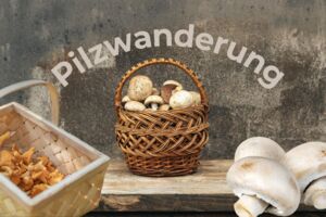 Pilzwanderung im Büchenbronner Wald