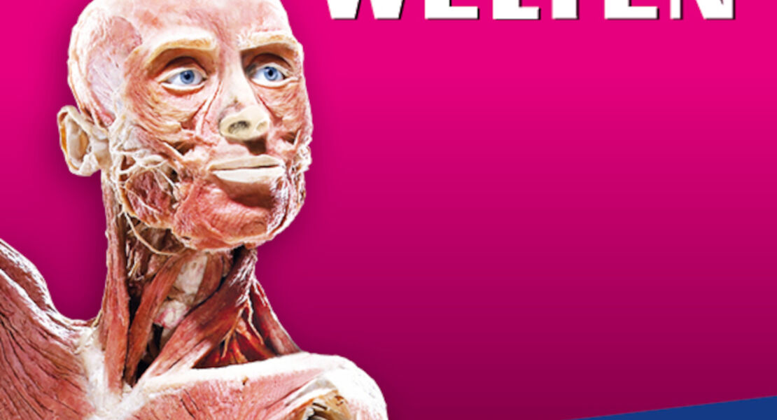 korperwelten-wien-zeitfensterticket