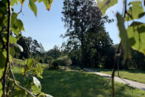 Wladimir Kaminer - Das geheime Leben der Deutschen