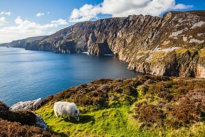 IRLAND mit Robert Neu