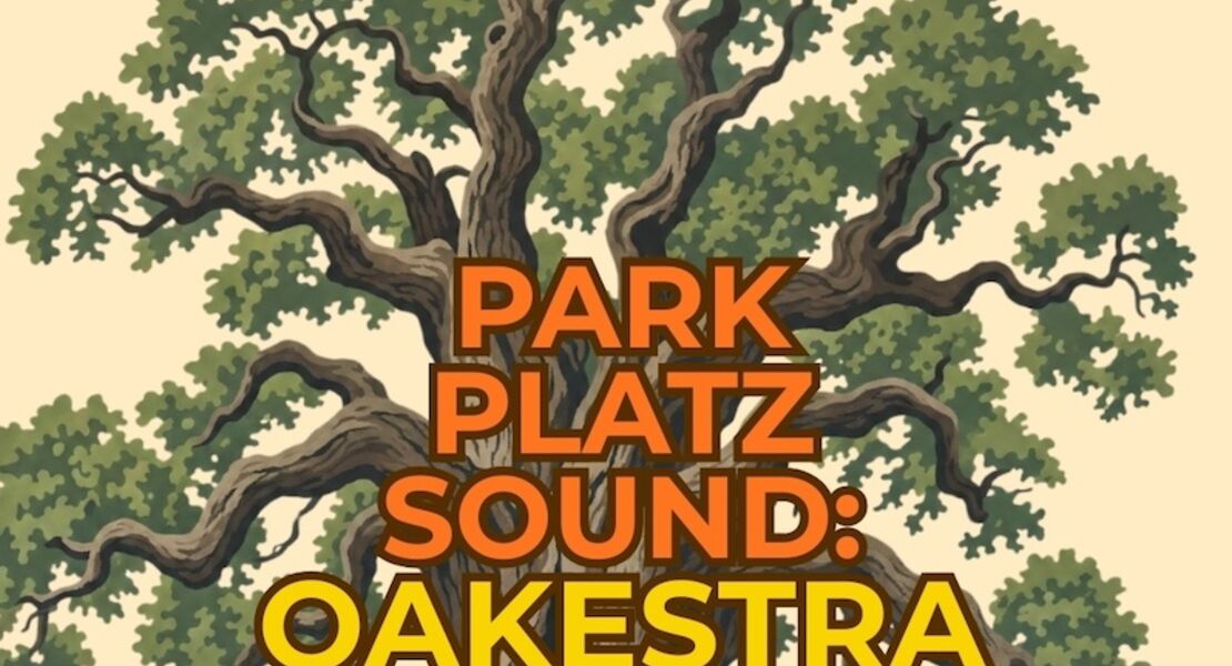 park-platz-sound-oakestra-konzert-mit-eichen-und-andrea-crescenzi-peter-hinz-yolanda-diefenbach