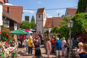 Naturpark-Markt