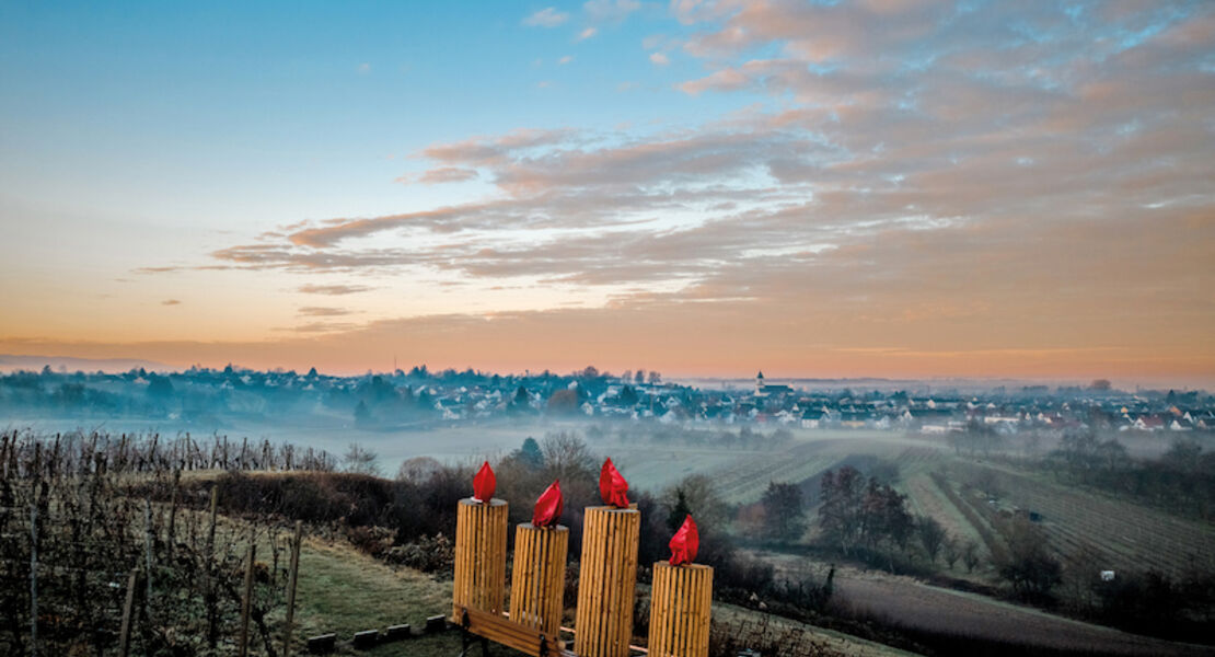 fackelwanderung-durch-die-reben