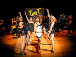 The Best of Tina Turner - Tribute Show - LIVE