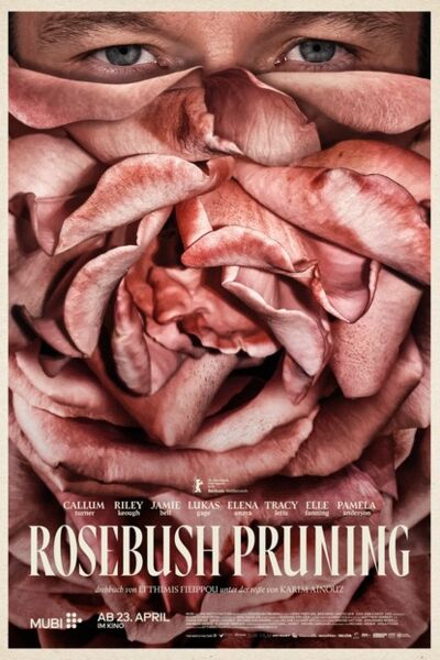 rosebush-pruning
