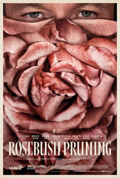 rosebush-pruning