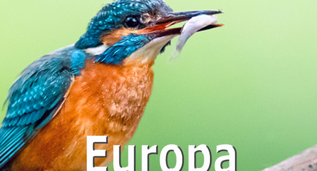 europa-naturparadiese-vor-der-haustur