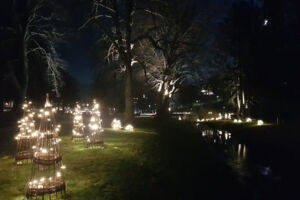 Mystischer Abendspaziergang – die Dunkelheit genießen