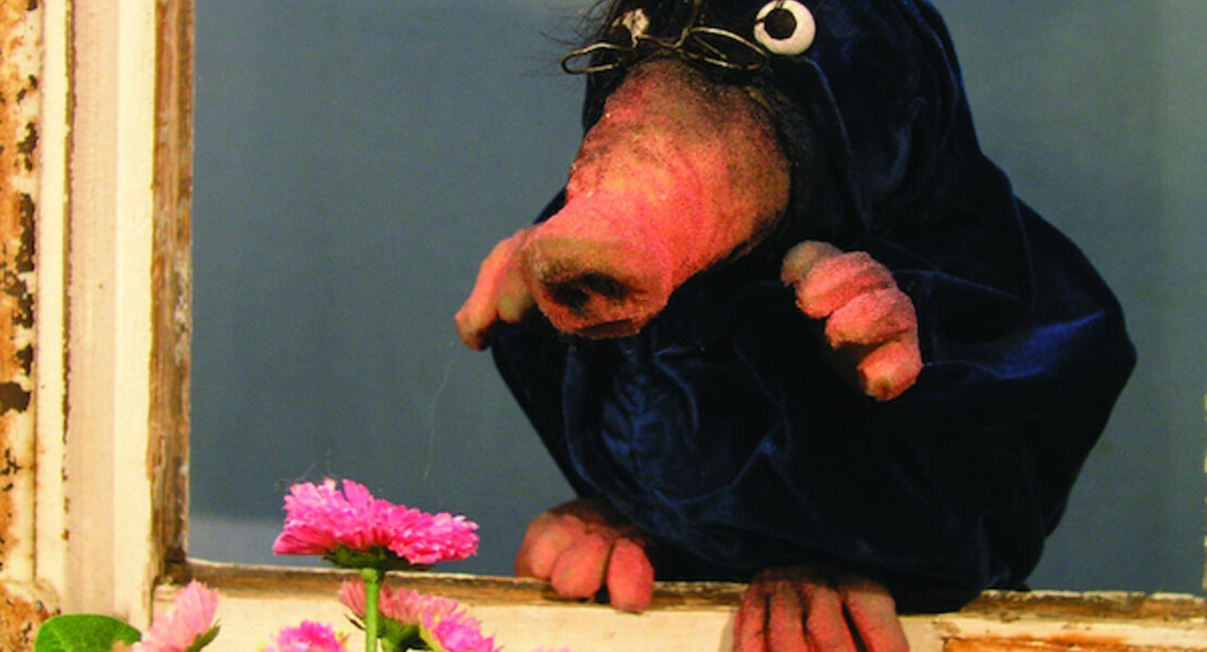 vom-kleinen-maulwurf-der-wissen-wollte-wer-ihm-auf-den-kopf-gemacht-hat-ab-3-jahren