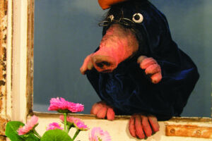 Vom kleinen Maulwurf, der wissen wollte, wer ihm auf den Kopf gemacht hat (ab 3 Jahren)