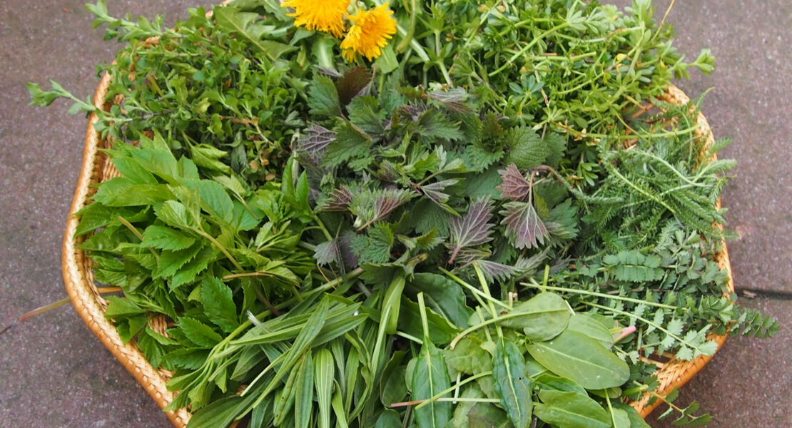 verfuhrungen-am-wegesrand-teil-1-naturkontraste-bei-der-rundwanderung-welzberg-talesbach