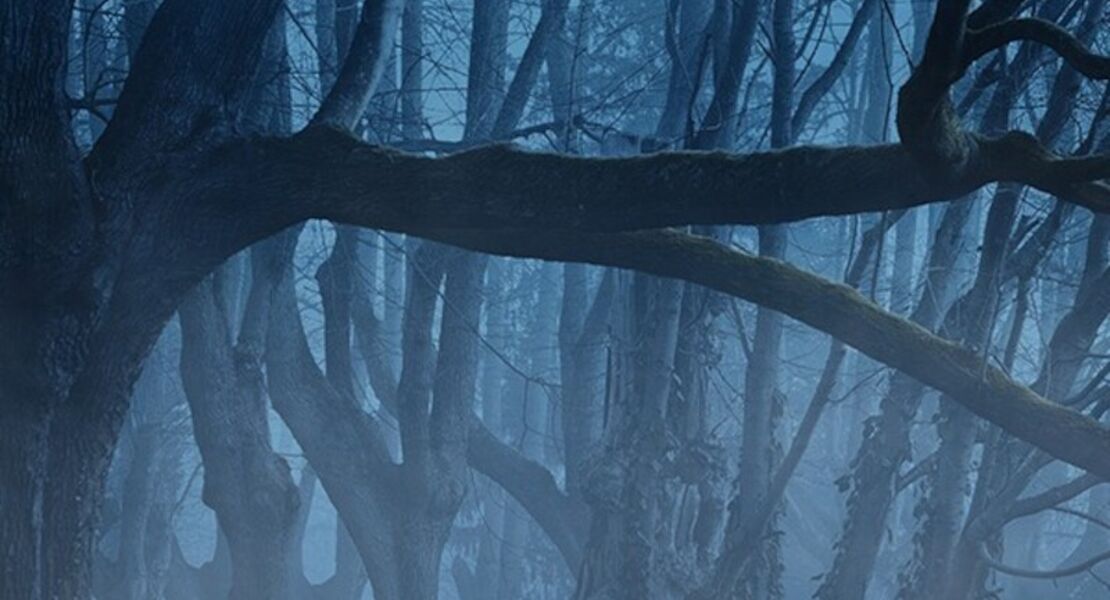 erwartung-der-wald-von-arnold-schonberg-ethel-smyth-wiederaufnahme