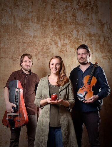 bube-dame-konig-im-folkclub-prisma-ev-pforzheim-neue-volksmusik