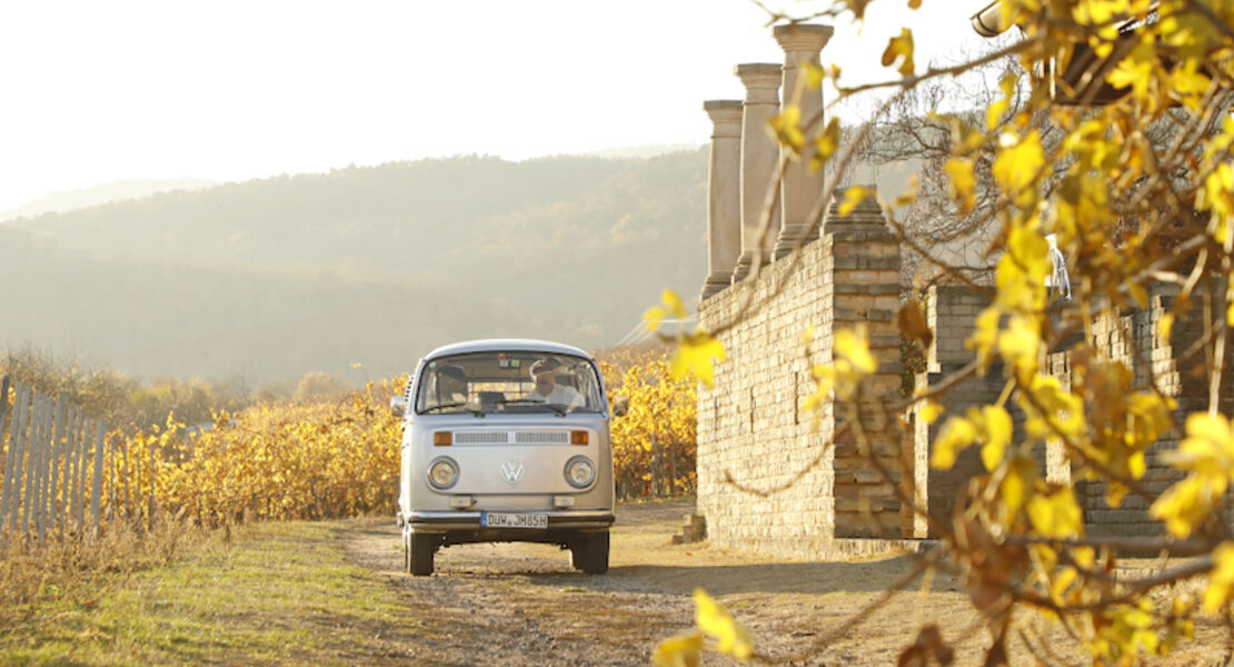 fahrt-in-den-mai-mit-dem-bussl