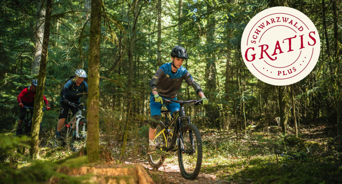holzmachertrails
