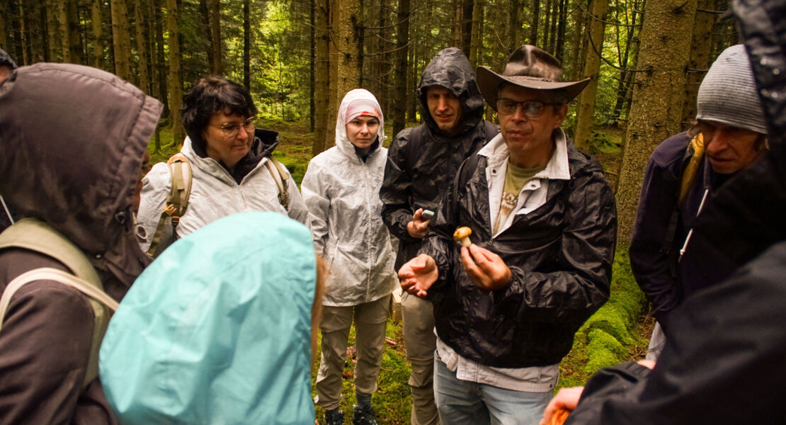 gefuhrte-pilzwanderung