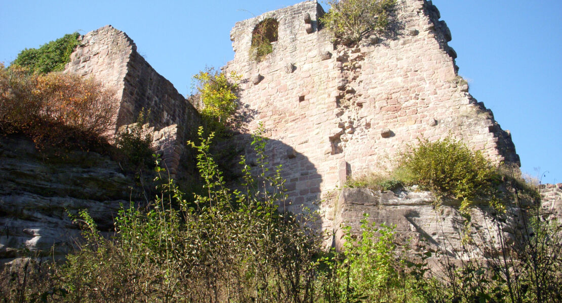 waldecker-burgruinen