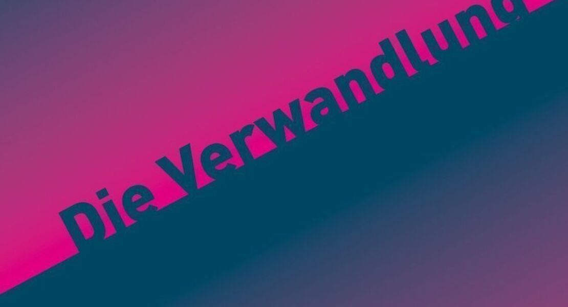 kafka-die-verwandlung