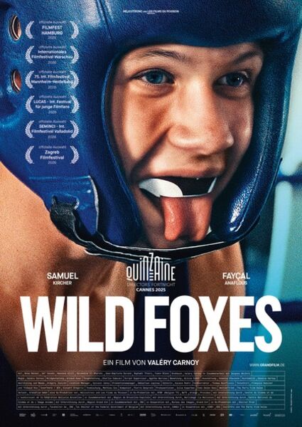 wild-foxes