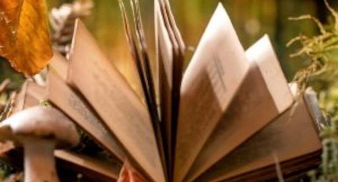 kindertheater-schneewittchen-und-die-7-zwerge