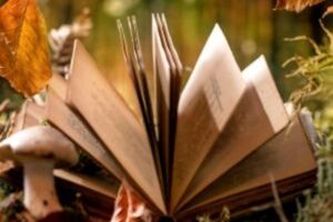 Kindertheater - Schneewittchen und die 7 Zwerge