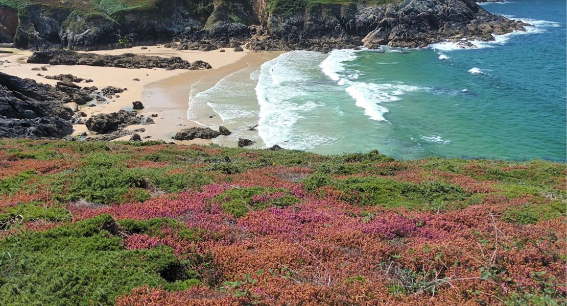 raue-schonheit-der-bretagne-ein-reisebericht