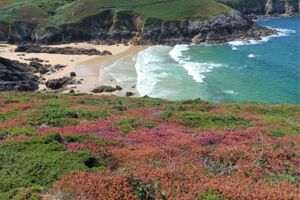 Raue Schönheit der Bretagne - ein Reisebericht