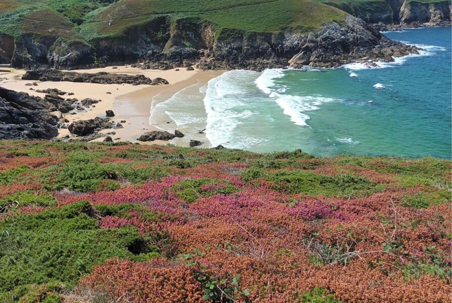raue-schonheit-der-bretagne-ein-reisebericht