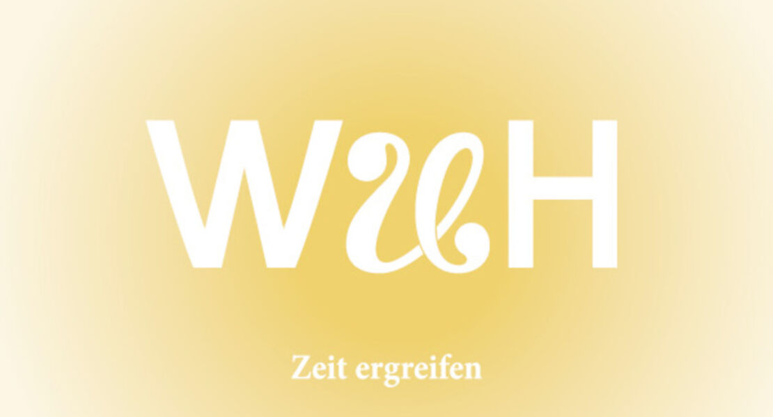wunderheiler-von-lutz-hubner-und-sarah-nemitz