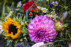 Flower-Loops - Indian Summer