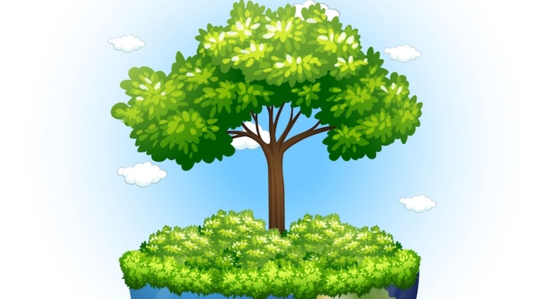 ist-das-wald-oder-kann-das-weg-sag-nicht-an-dem-ast-auf-dem-du-sitzt