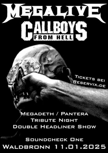 tribute-to-pantera-megadeth