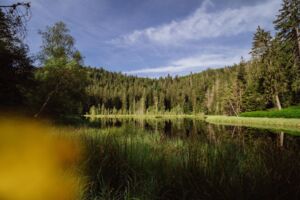 Stille die berührt