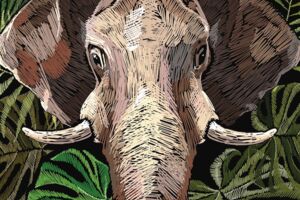 Tuffi - von Christoph Ritter  PREMIERE