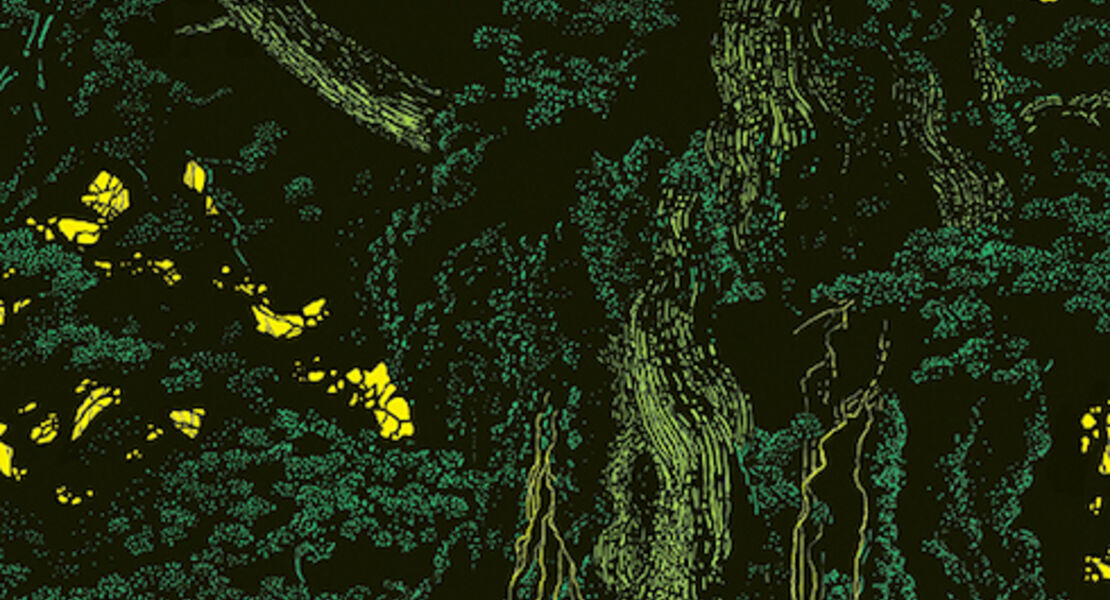 studio-lcb-die-hollanderinnen