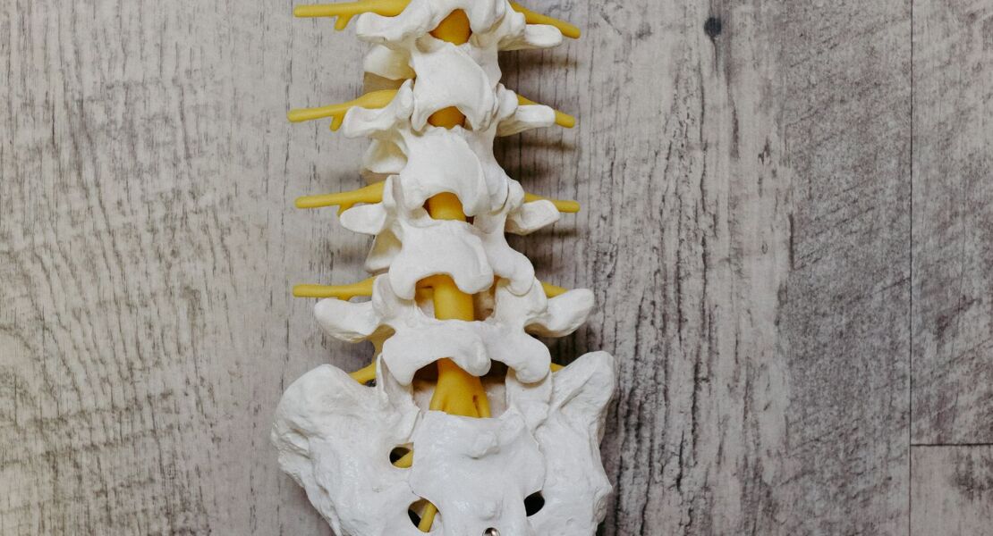 ruckengesundheit-mit-dorn-breuss