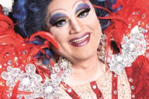 Die Regenbogenhummel: Gänseblümchen