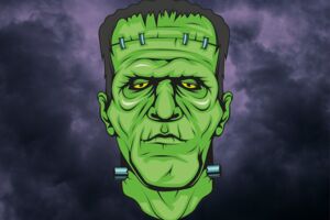 Mel Brooks' FRANKENSTEIN JUNIOR - Buch von Mel Brooks und Thomas Meehan / Musik und Gesangstexte von Mel Brooks