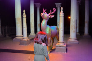 Ronja Räubertochter