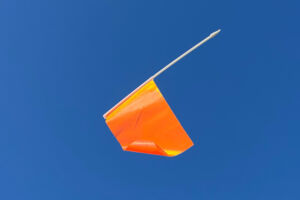 Moving Toppings - Put the flag away!