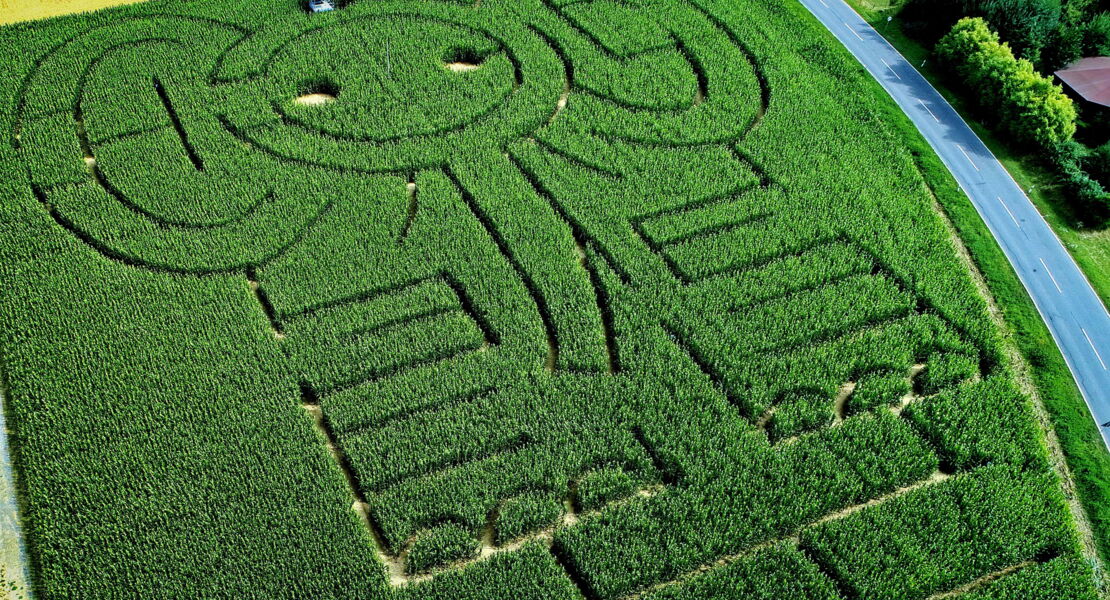 maislabyrinth-eutingen