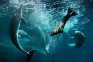 Berichte aus dem Garten Eden mit 4-Gänge-Menü und Getränken