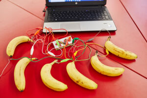 Coden mit Makey Makey