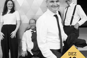 Die Zebras | Im Weihnachtsstress