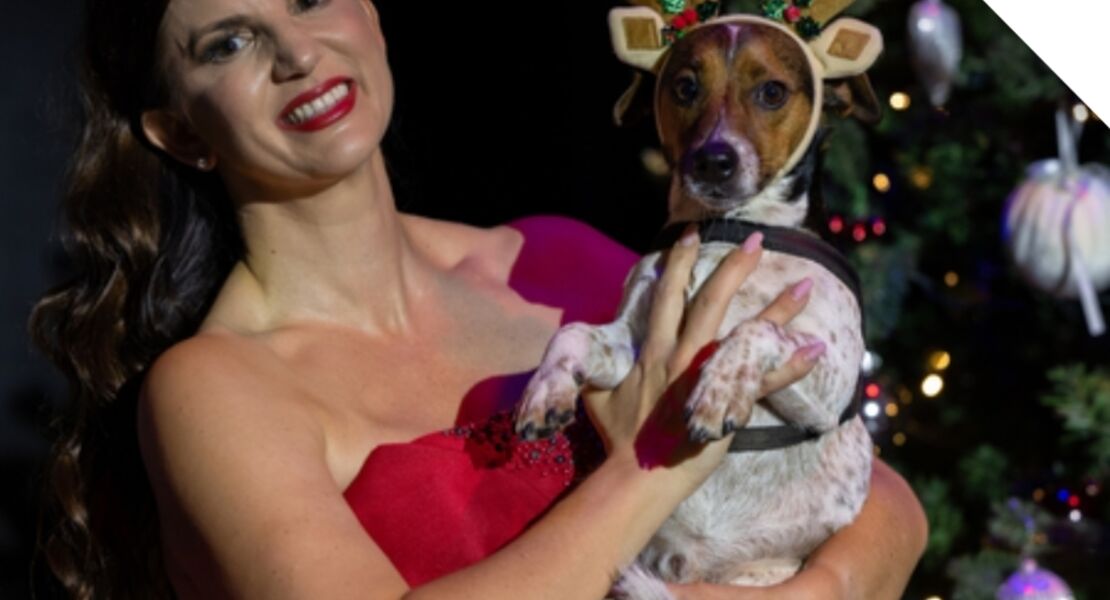 opern-slam-zwischen-den-jahren-im-ernst-deutsch-theater