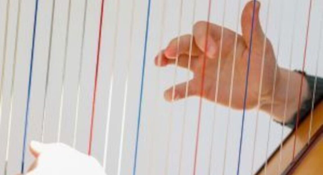 adventskonzert-der-berufsfachschule-fur-musik-altotting