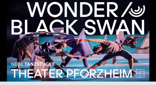 black-swan-ua-wonder-wa